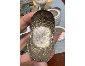 金元寶正面展示